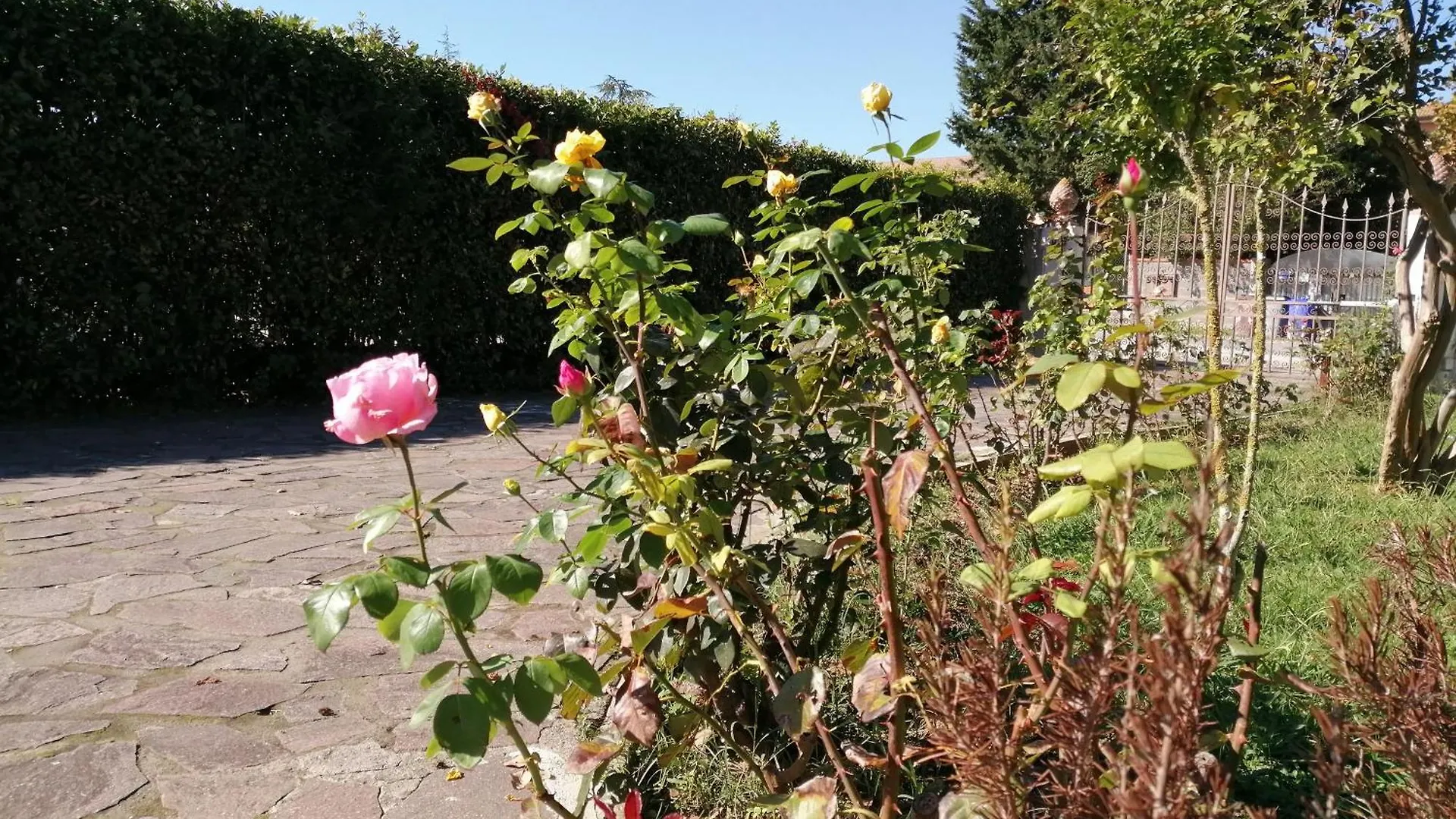 Bed & Breakfast Villa Oasi San Giuliano Terme