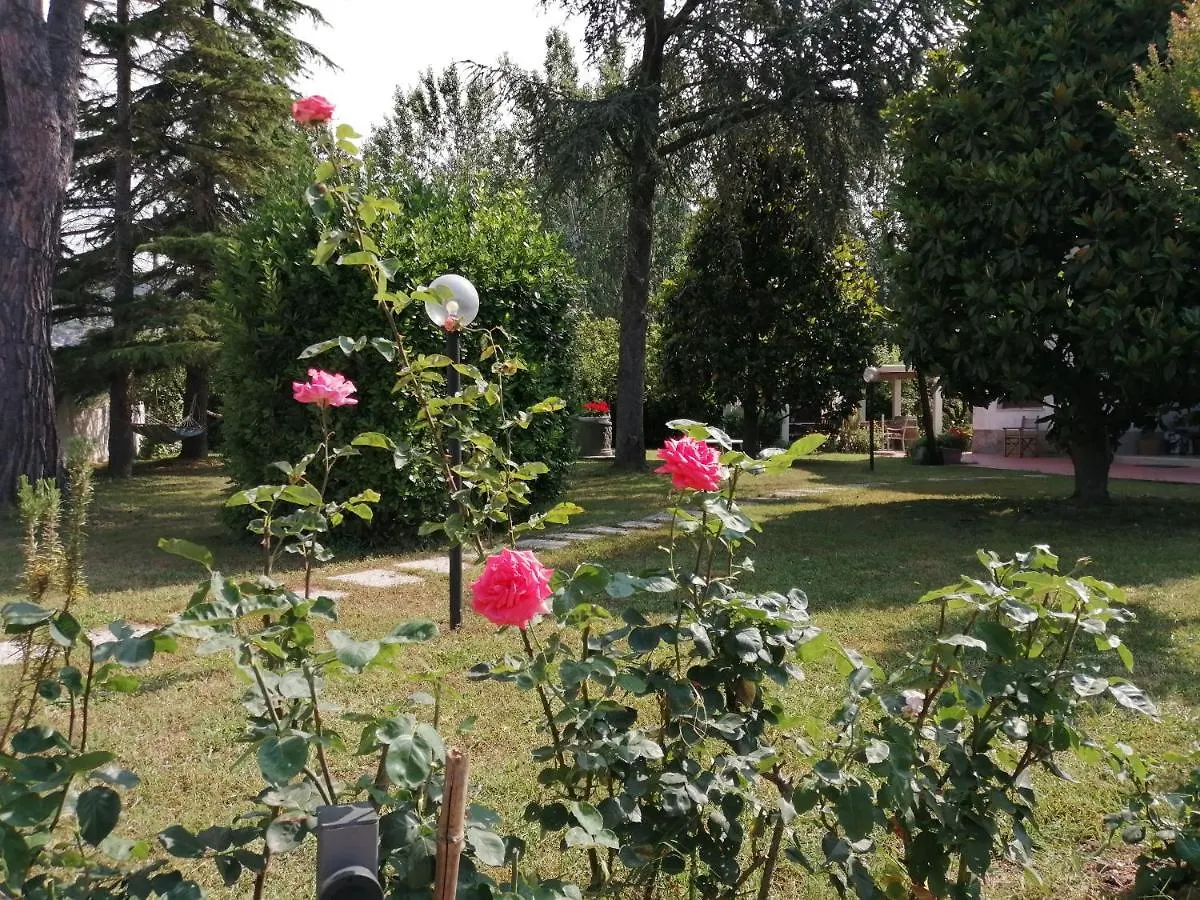 Villa Oasi San Giuliano Terme Bed & Breakfast